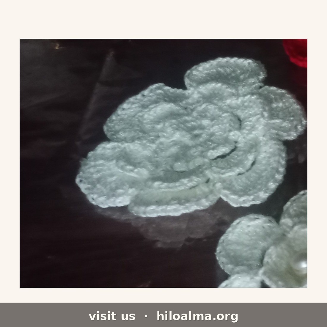 Rosa Blanca Capas