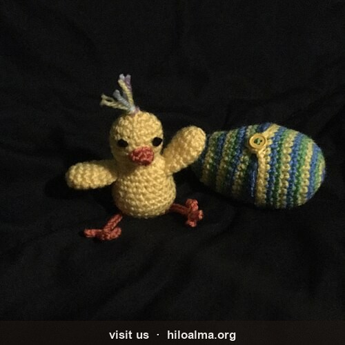 Pollito